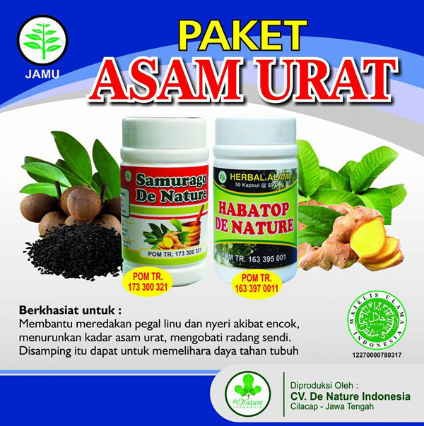  Obat Asam Urat